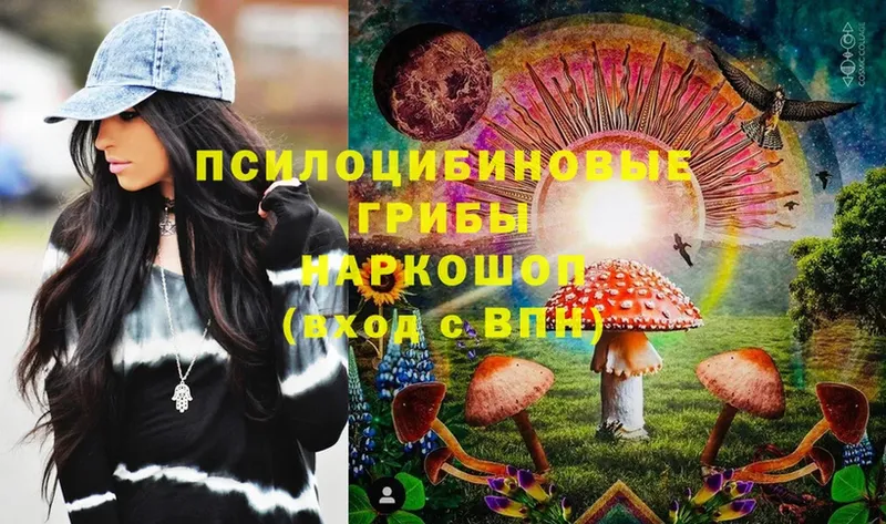 Псилоцибиновые грибы Psilocybine cubensis  Электроугли 